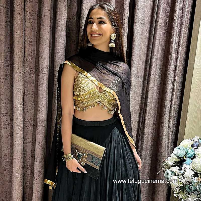 raailaxmi stills 140122 002