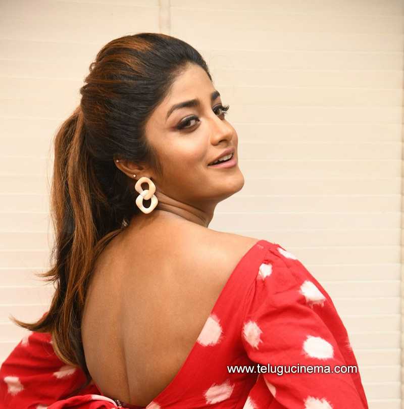 dimple hayathi', 'tollywood' in South Indian Actress | Scoop.it