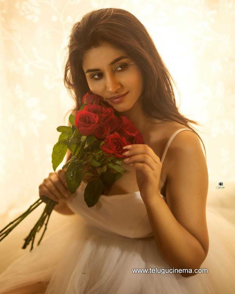 varshini stills 190222 002
