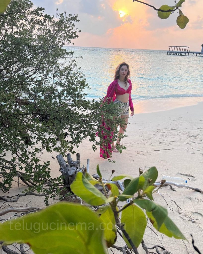 Tamannaah