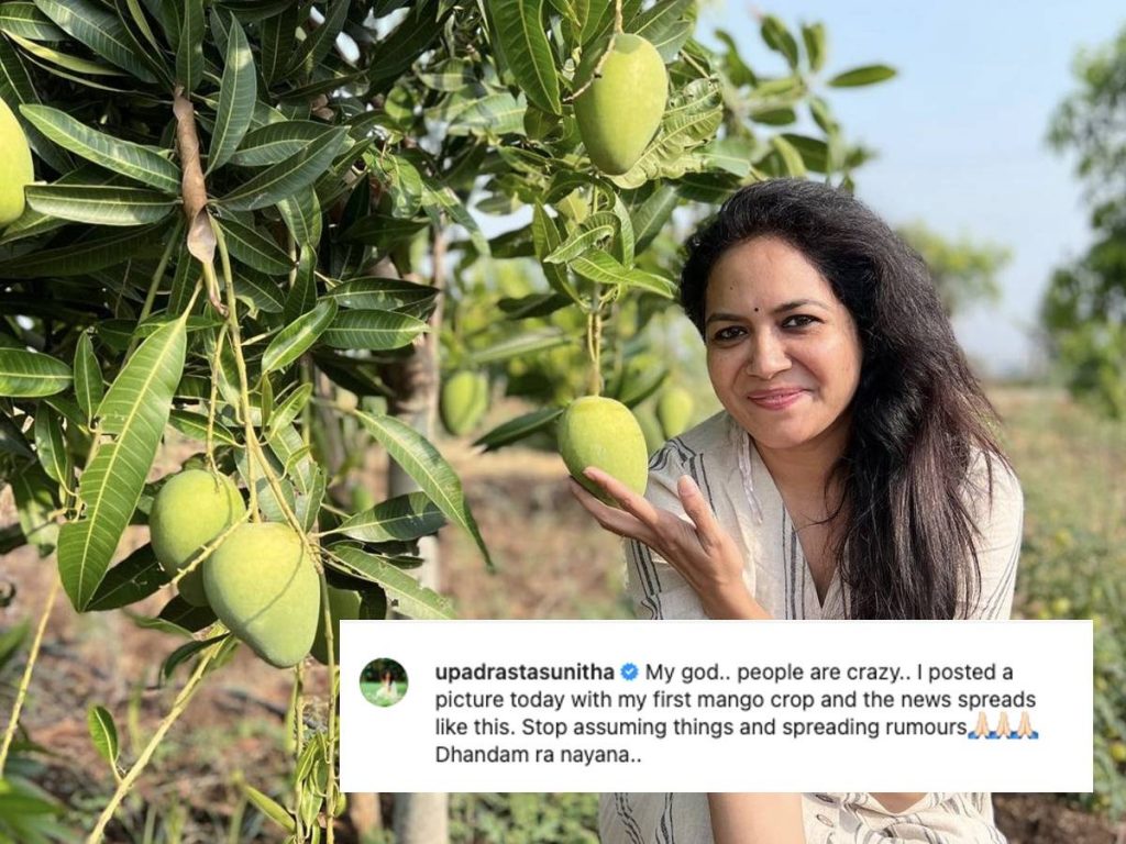 Mango Sunita