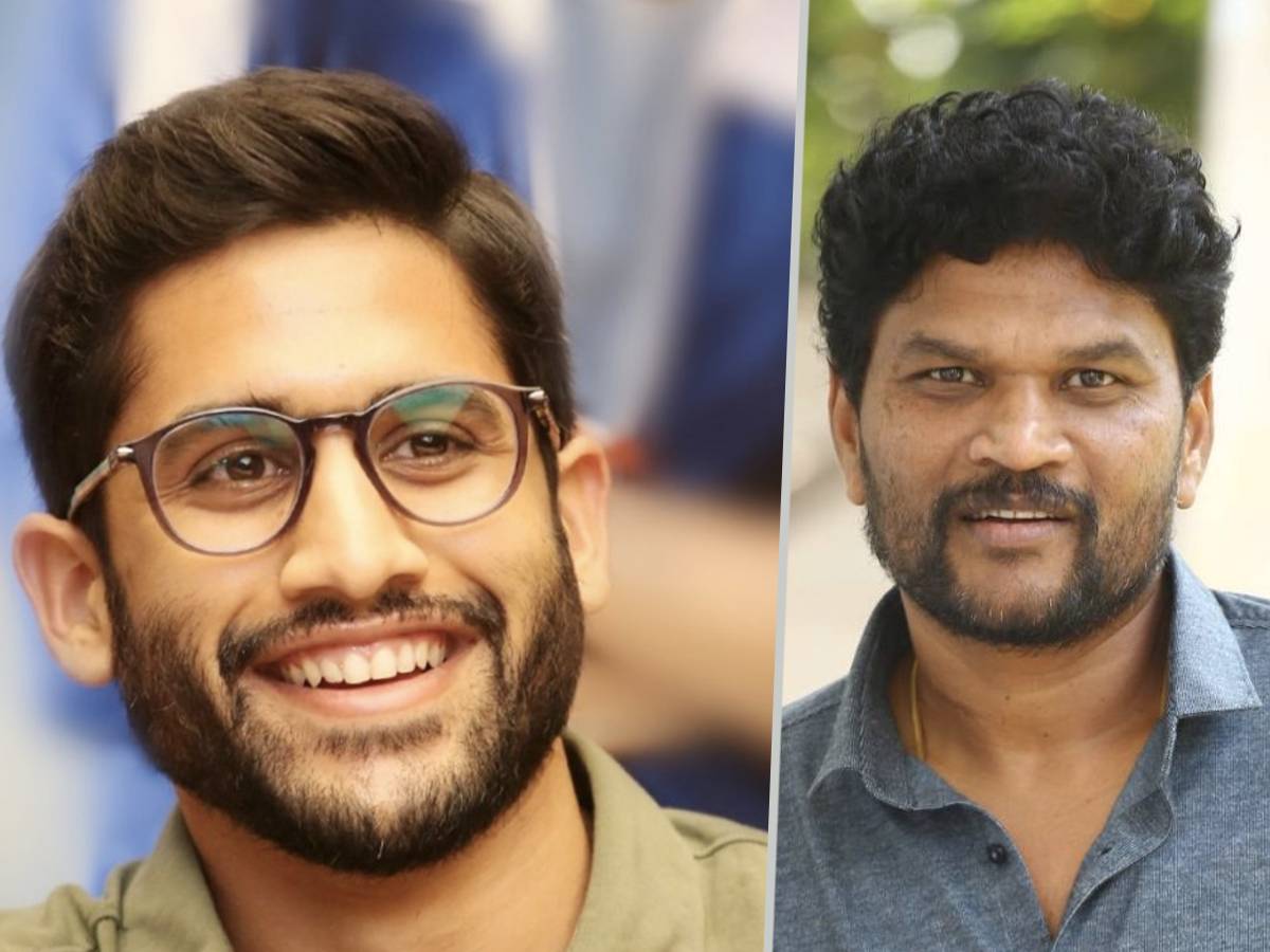 Finished script for Naga Chaitanya: Parasuram | Telugu Cinema
