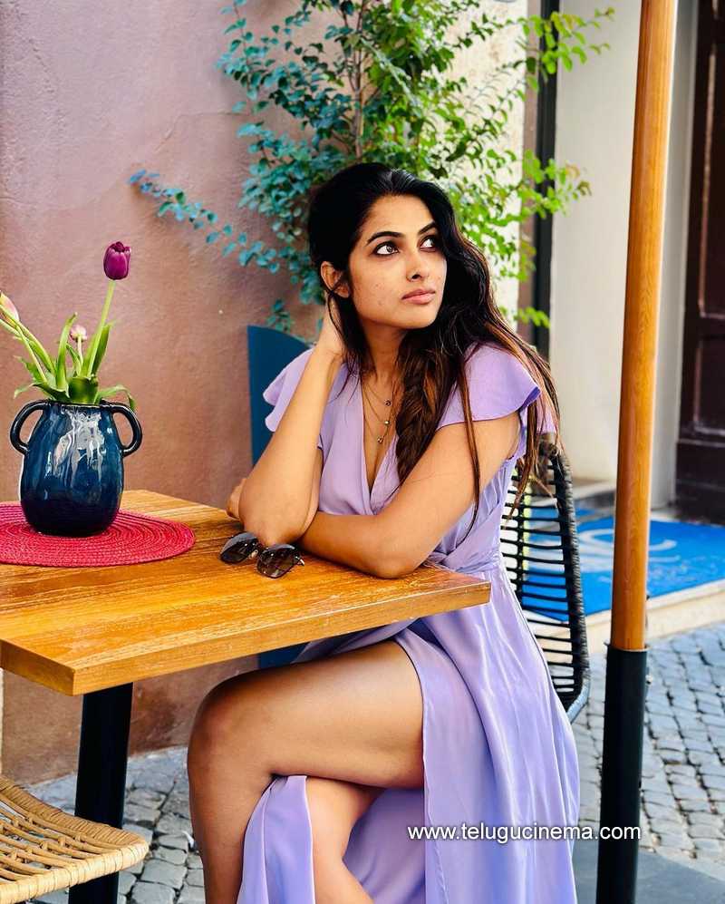 divi stills 18 10 22 001