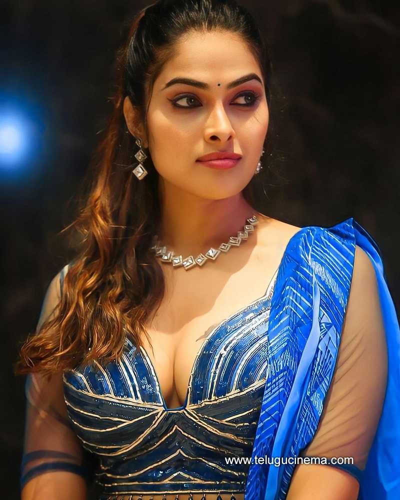 divi stills 19 10 22 002