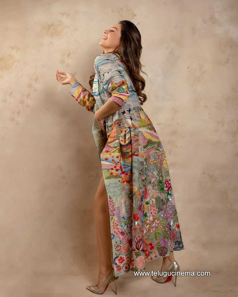 hansika stills 17 10 22 002