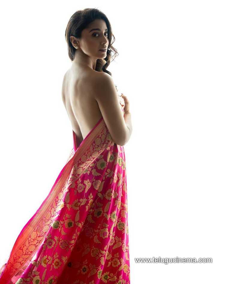 Shriya Saran in a backless Saree