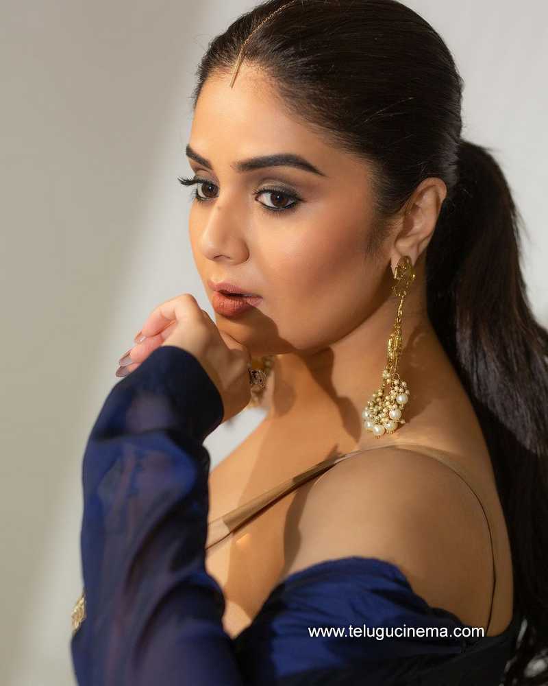 sreemukhi stills 11 10 22 006
