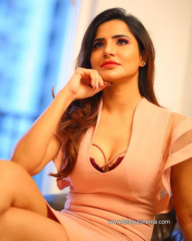 ashureddy stills 15 11 22 002