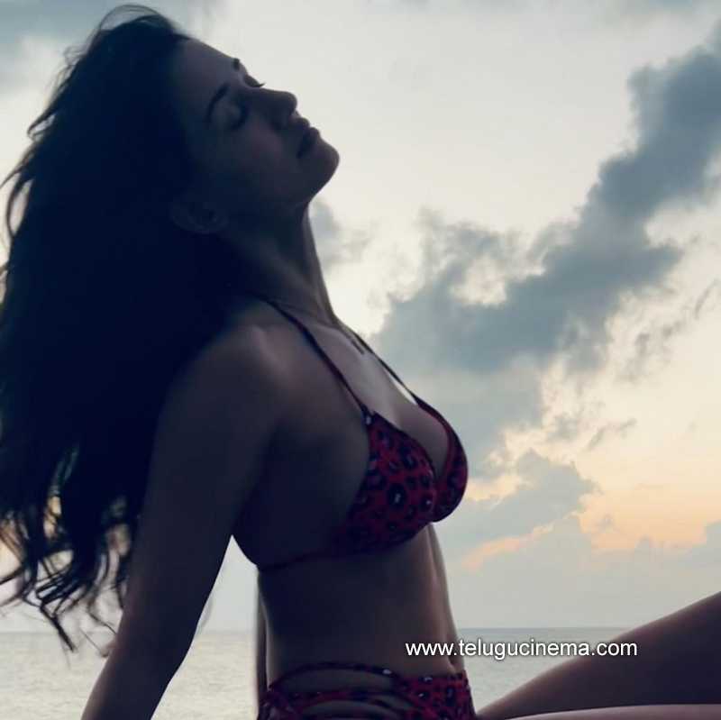 dishapatani stills 12 11 22 002