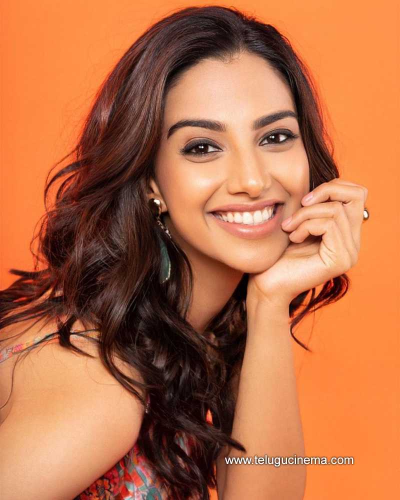 meenakshi stills 12 11 22 004