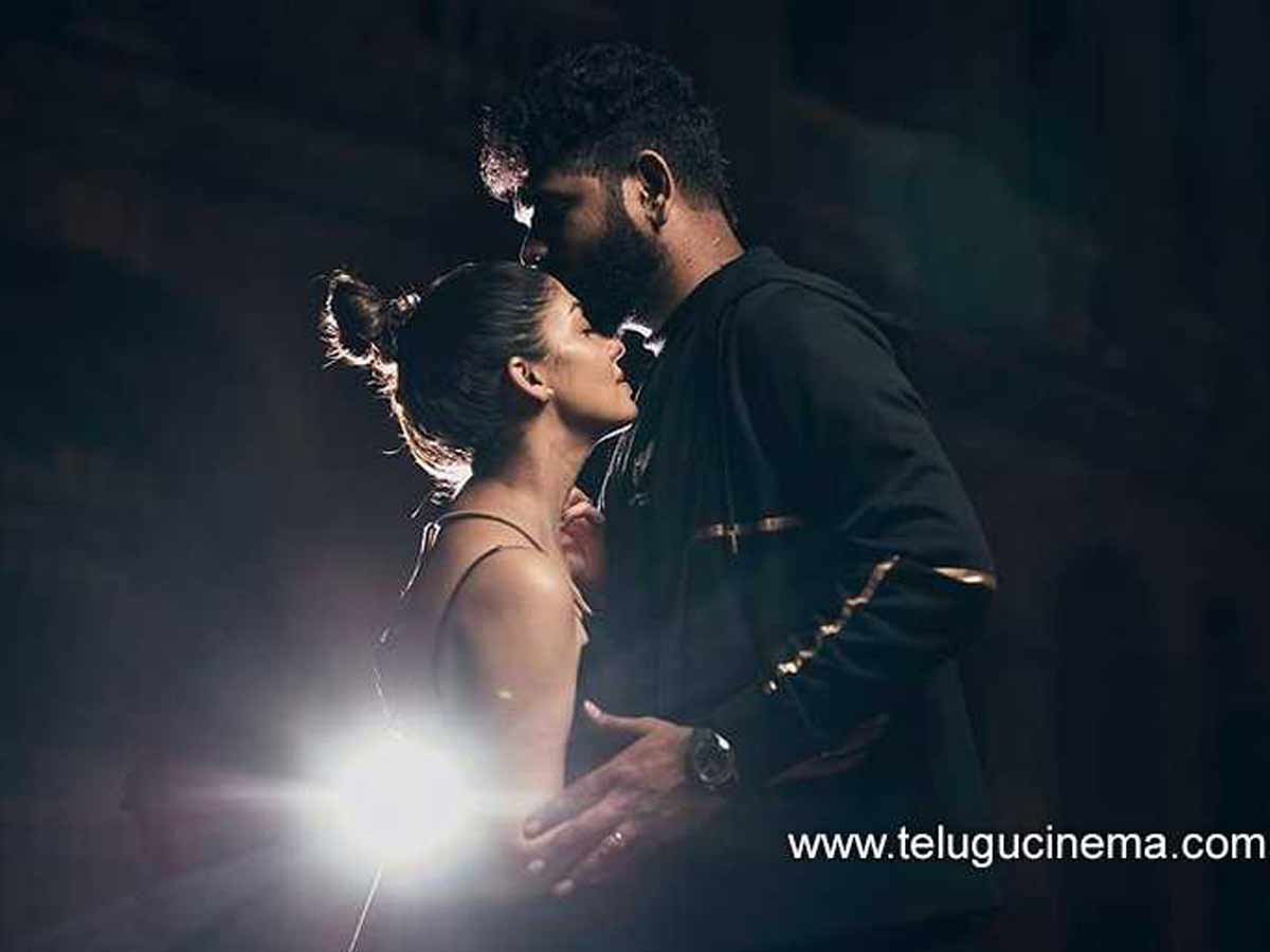 Nayanthara birthday celebrations with her husband | Telugu Cinema
