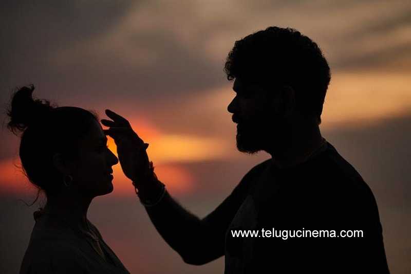 Nayanthara birthday celebrations with her husband | Telugu Cinema