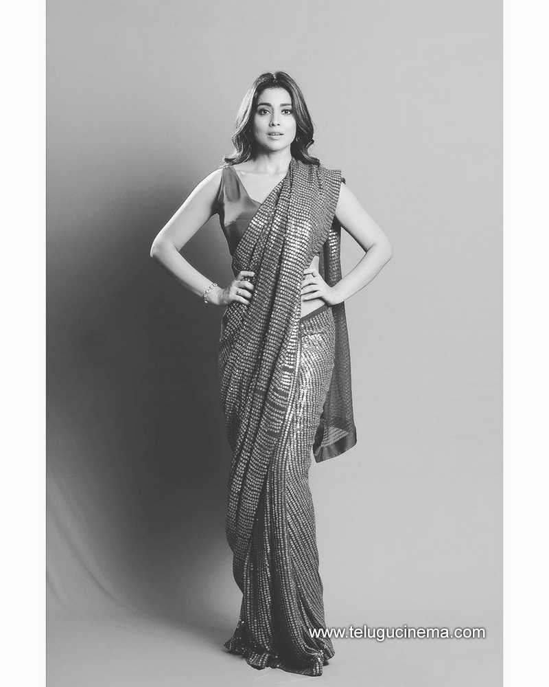 shriyasaran stills 12 11 22 006