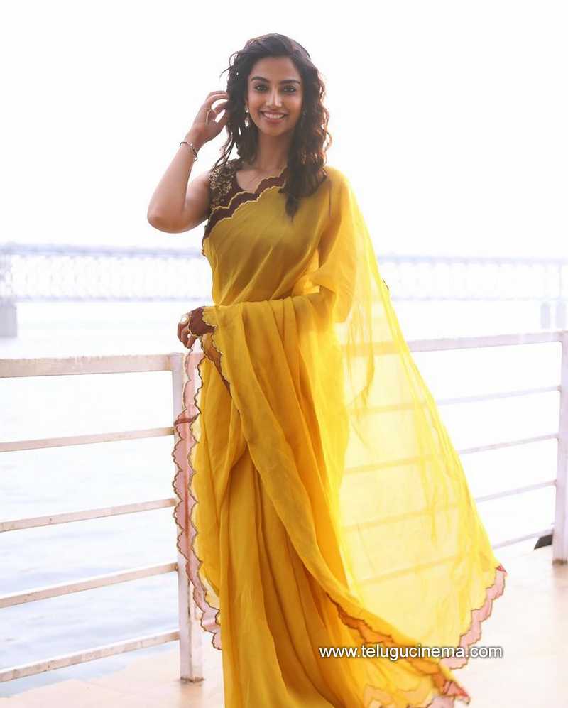 meenakshi stills 14 12 22 002