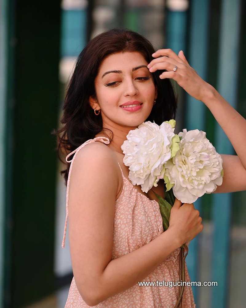 pranita stills 08 12 22 004