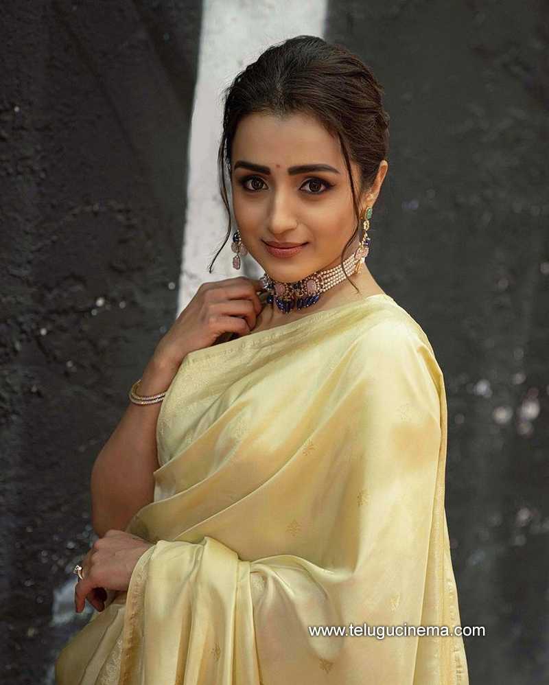 Trisha Latest Stills In Saree Oozing Traditional Beauty