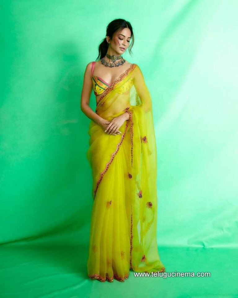 Kriti Kharbanda In A Green And Yellow Saree Telugu Cinema