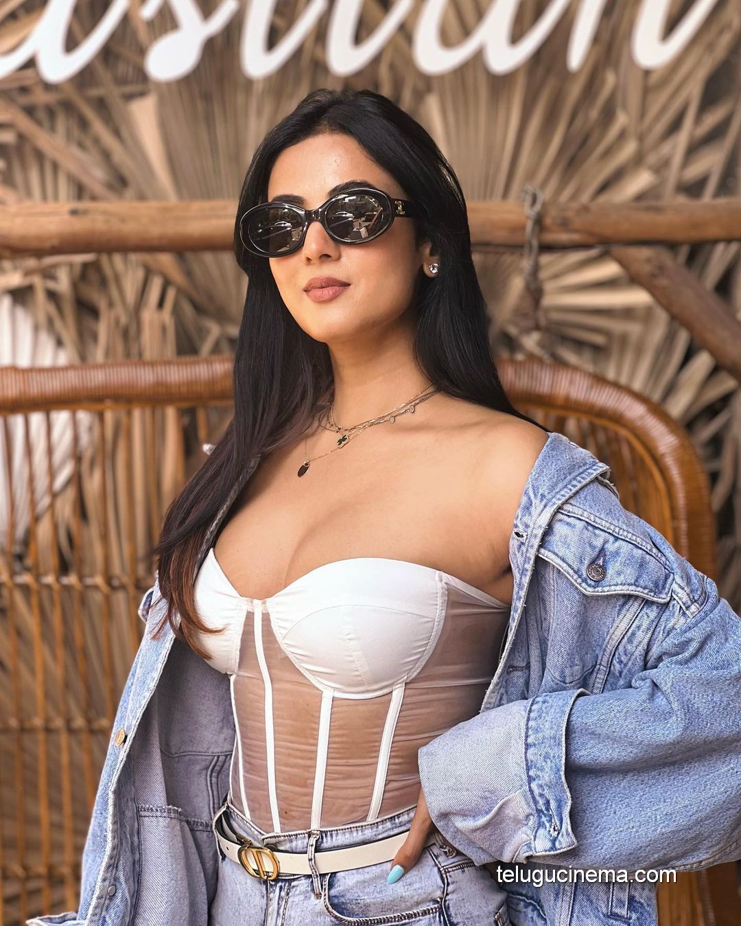 Sonal Chauhan