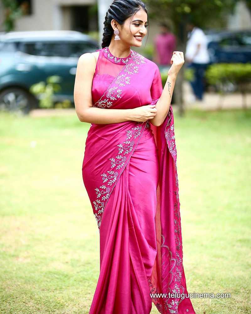 Ananya Nagalla in a pink Saree | Telugu Cinema