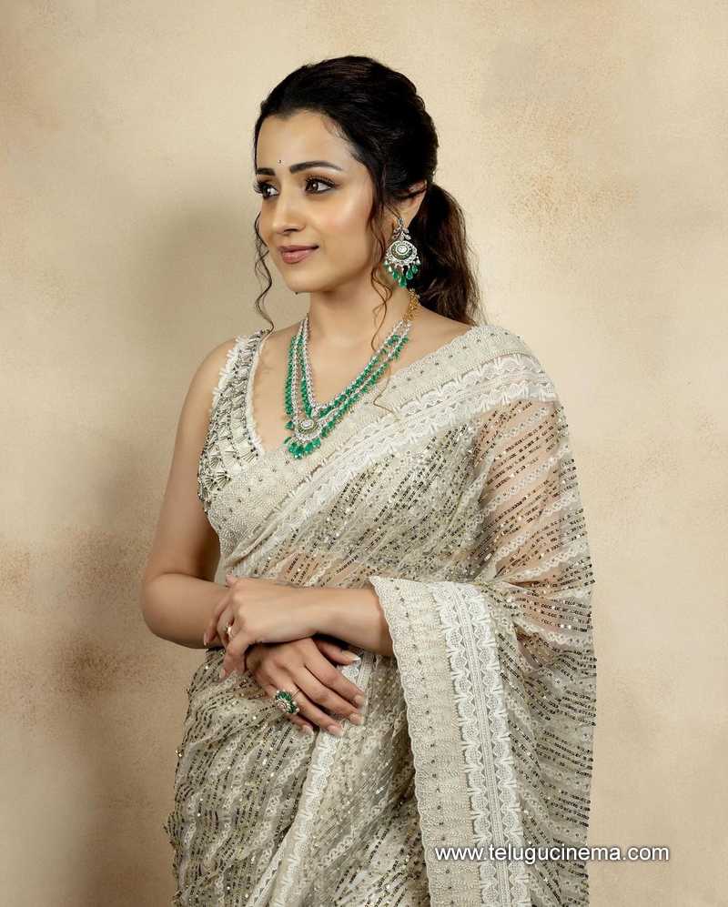 trisha-saree-2019 (2) • Keep Me Stylish