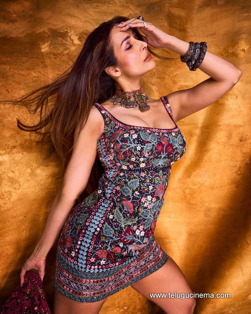 malaika stills 110124 003