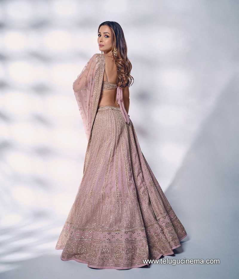 Malaika Arora’s style for the wedding season | Telugu Cinema