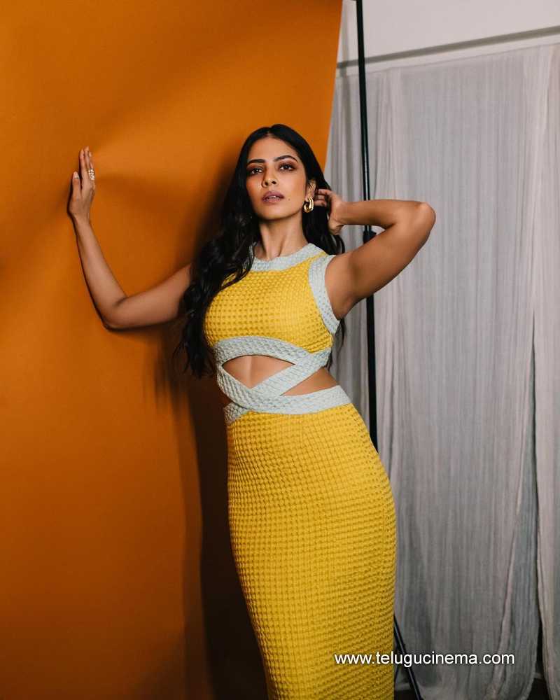 malavika stills 300124 002