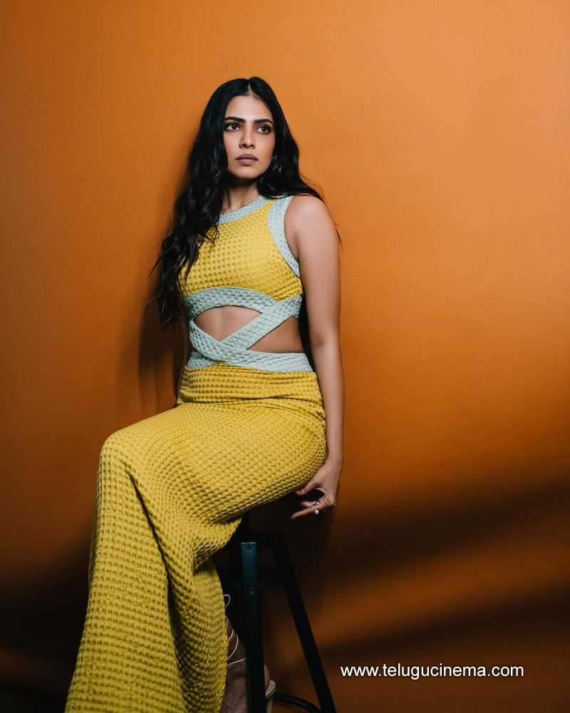 malavika stills 300124 003