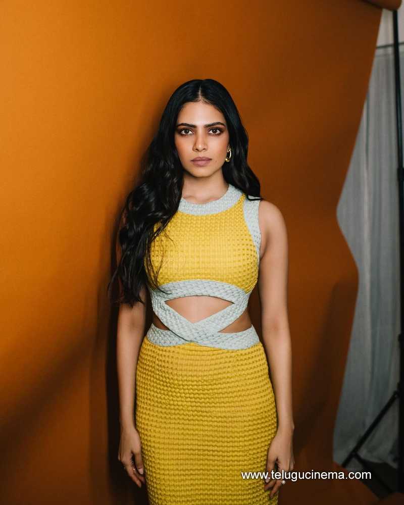 malavika stills 300124 007