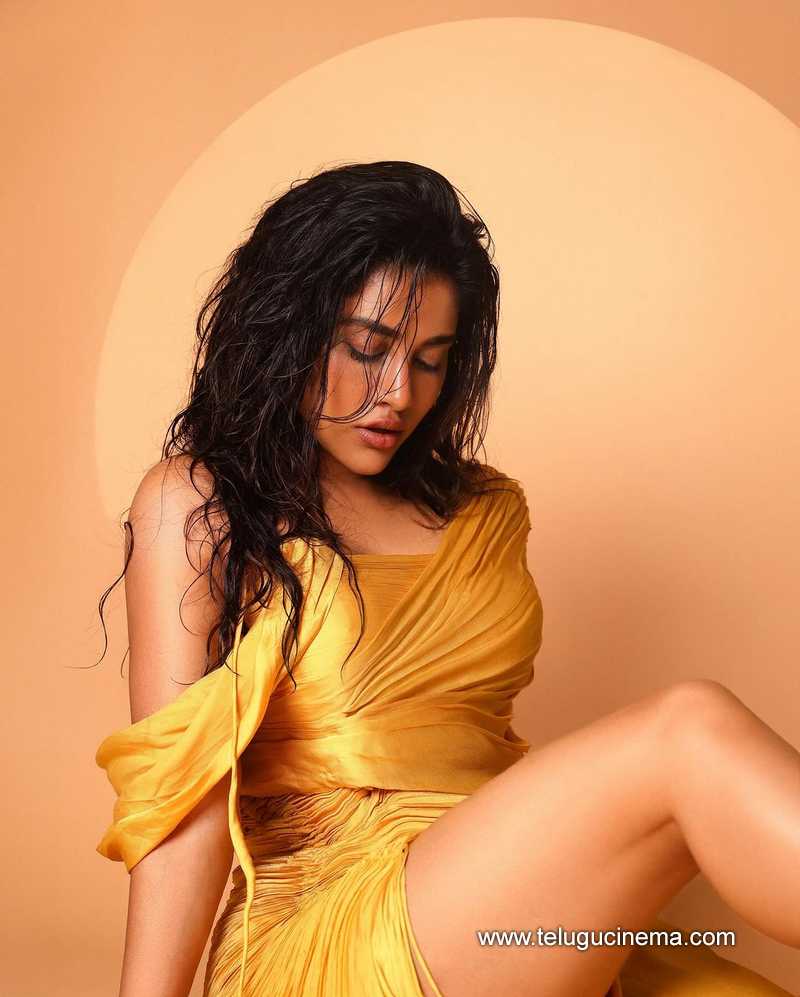 nabhanatesh stills 050124 003