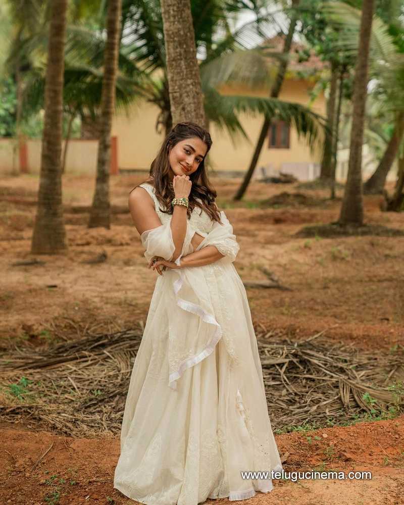pooja stills 080124 002