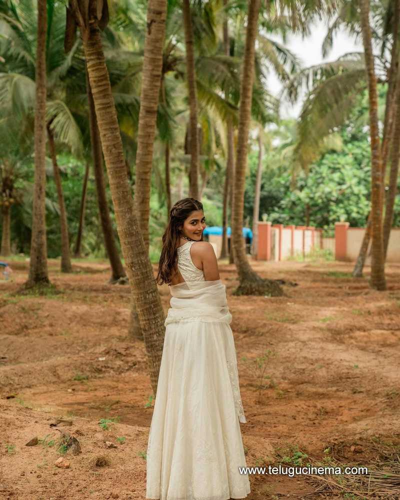 pooja stills 080124 004