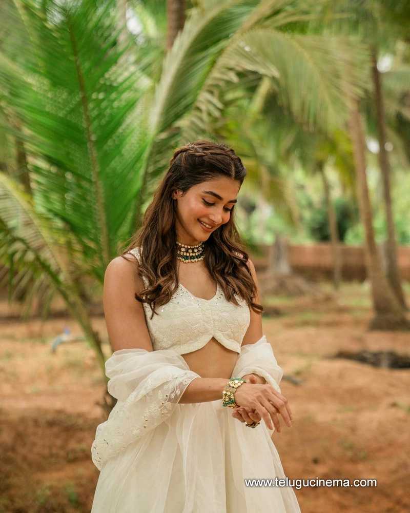 pooja stills 080124 005