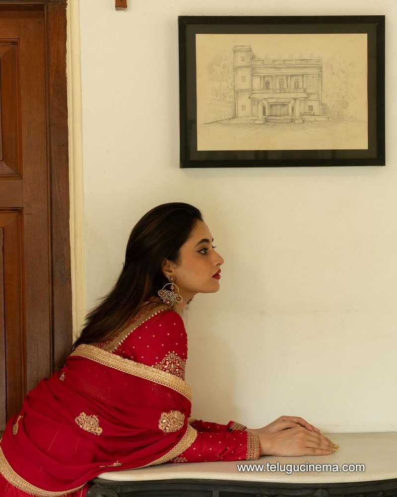 priyankamohan stills 200124 005