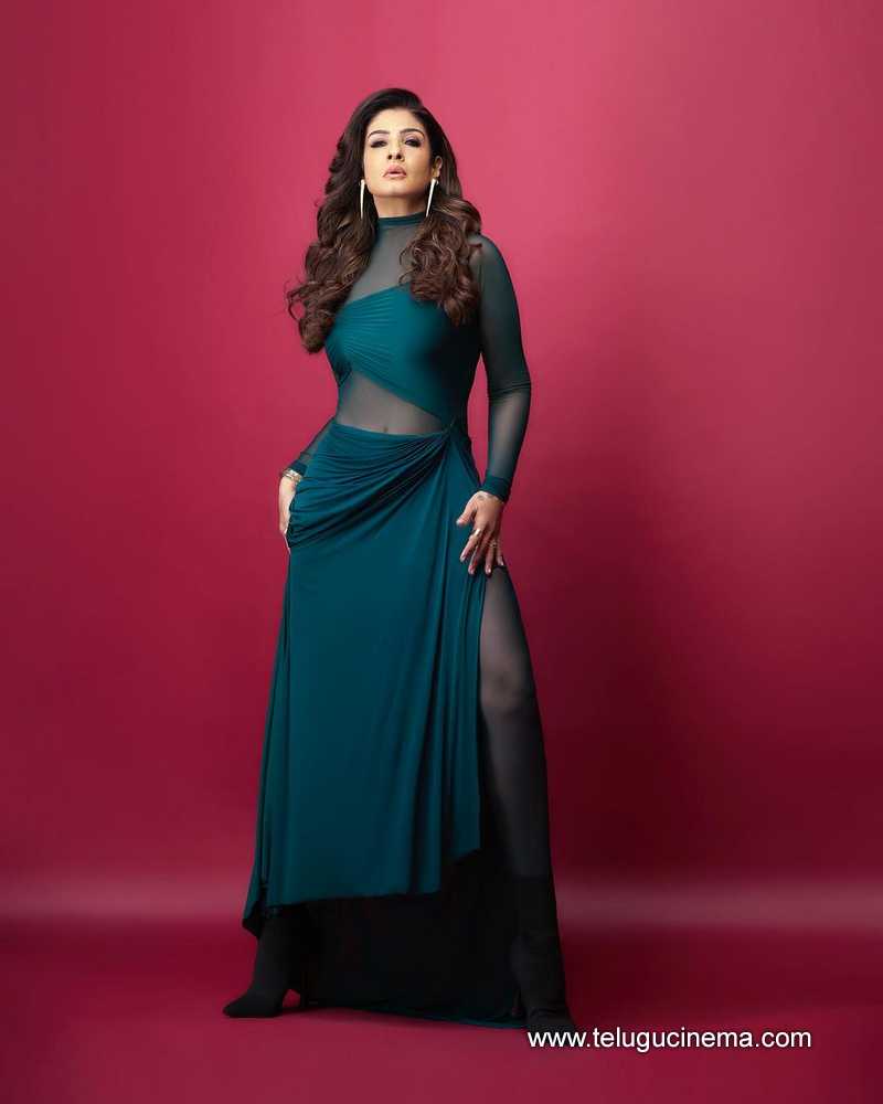 raveena stills 240124 002
