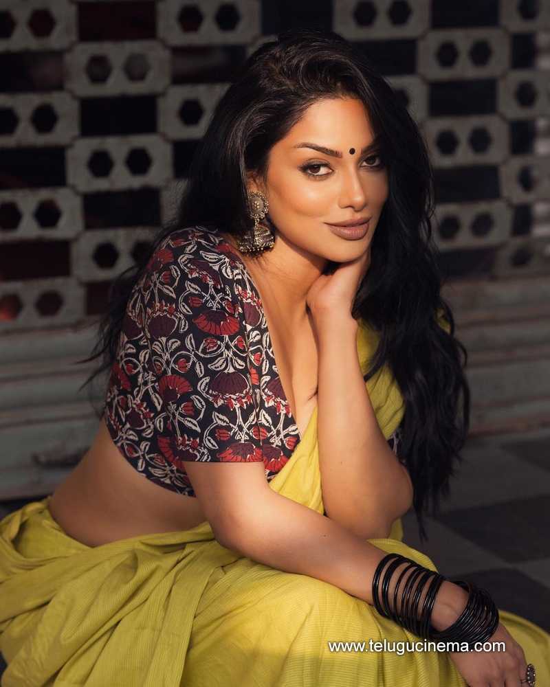 ravichandrika stills 160124 004