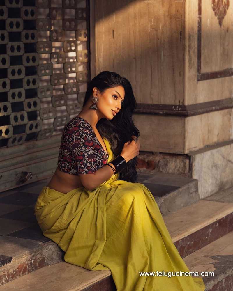 ravichandrika stills 160124 006