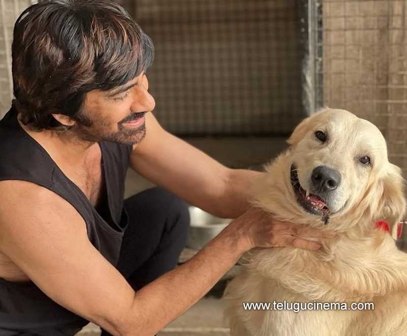 raviteja stills 010124 002