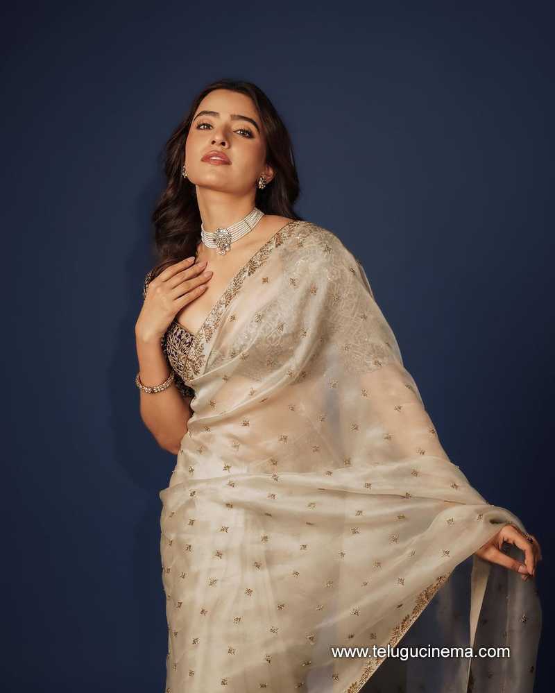 rukshar stills 270124 002