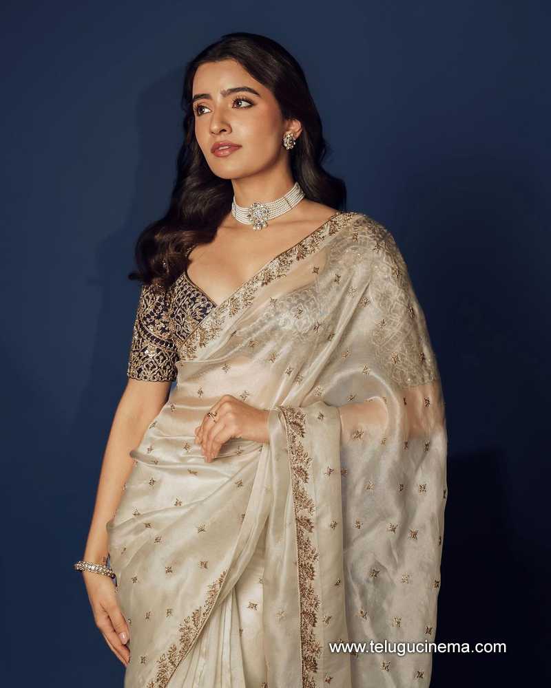 rukshar stills 270124 004