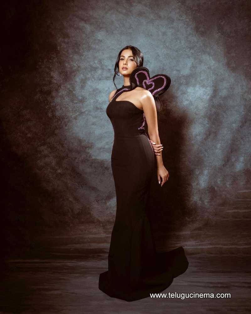 sonal stills 300124 005