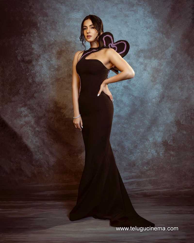 sonal stills 300124 006
