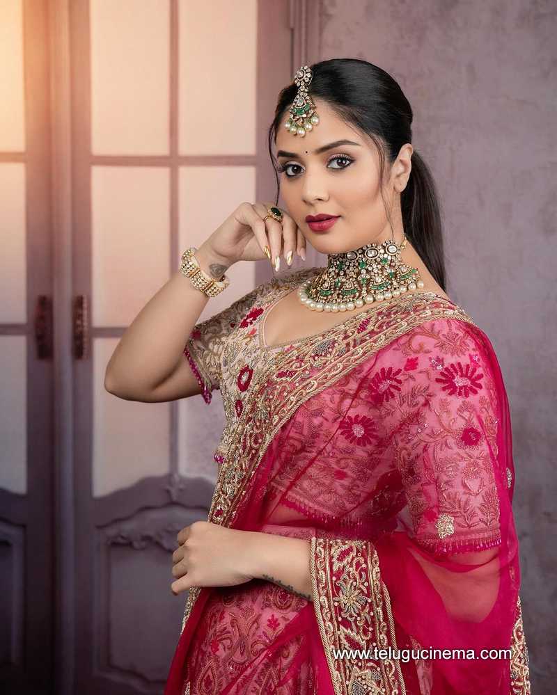 sreemukhi stills 310124 004