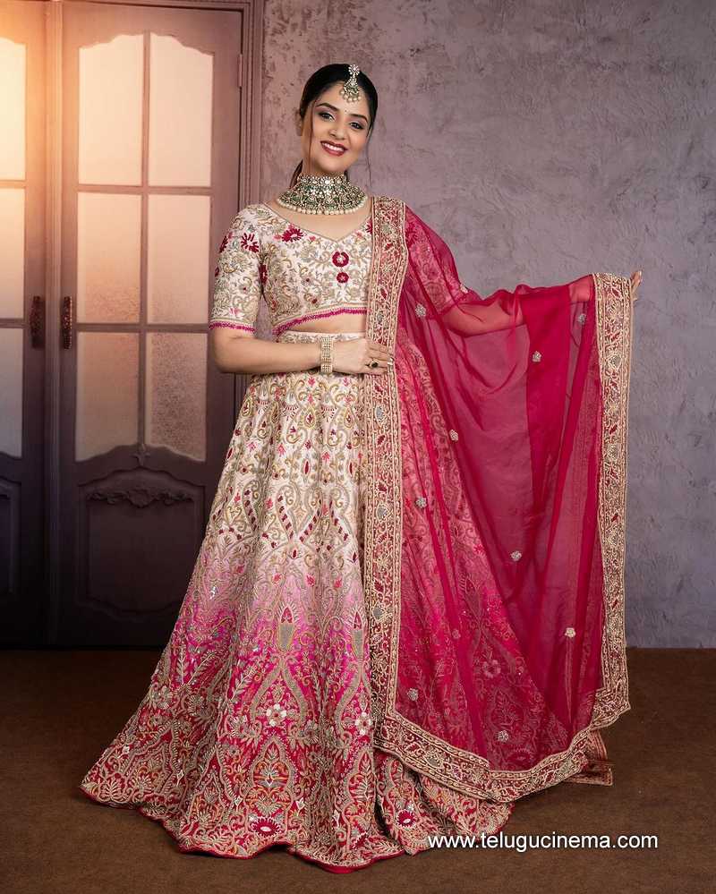 sreemukhi stills 310124 006