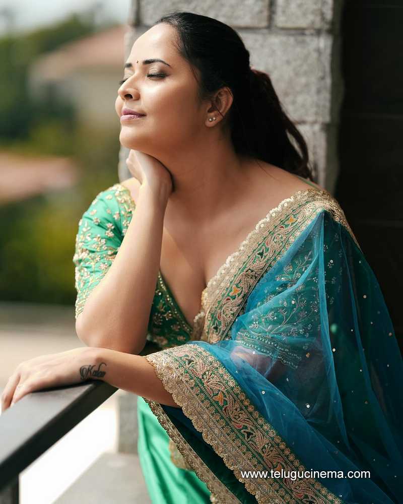 anusuya stills 28022400000004