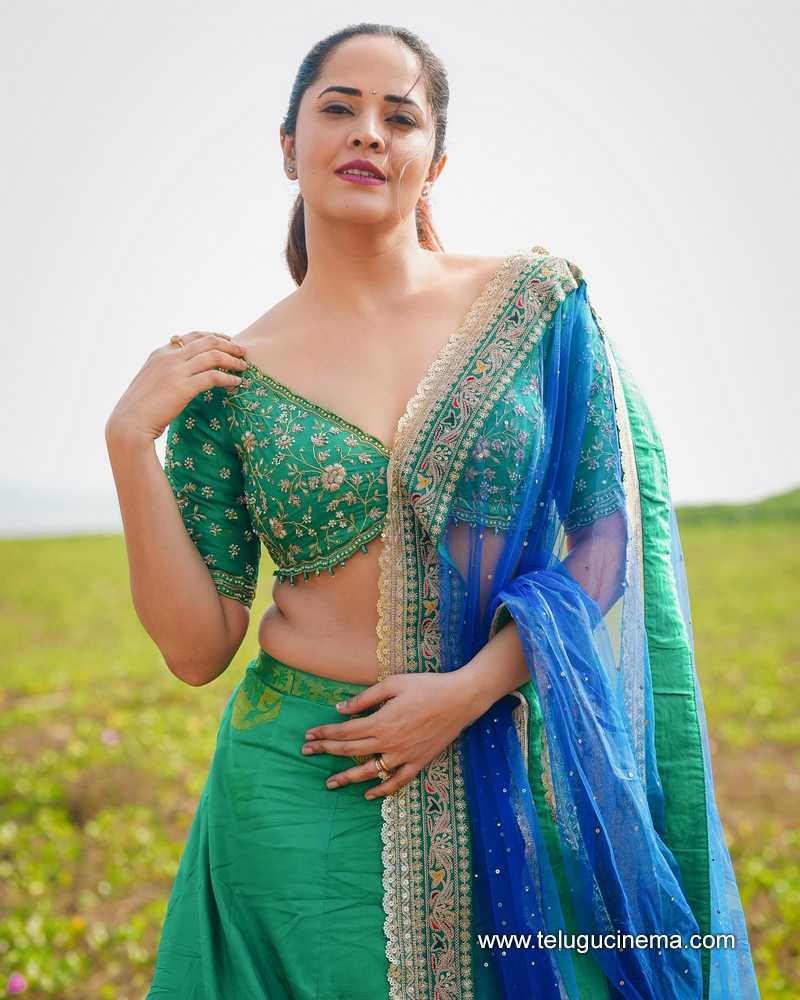 anusuya stills 28022400000007