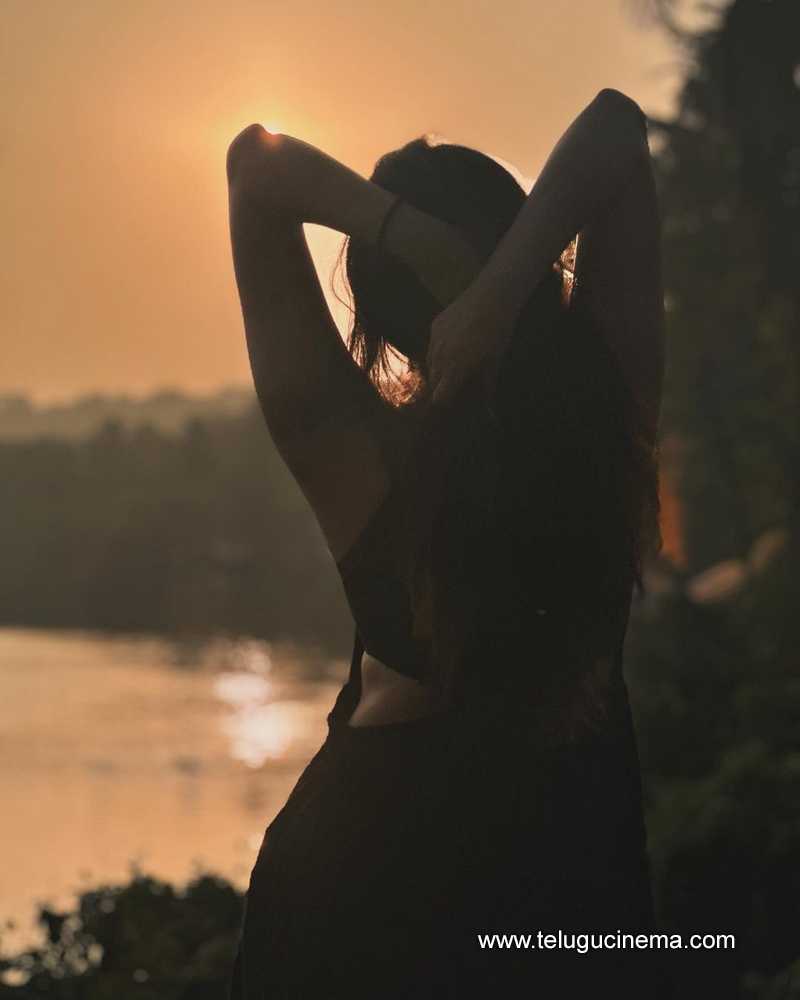 divi stills 10022400000002