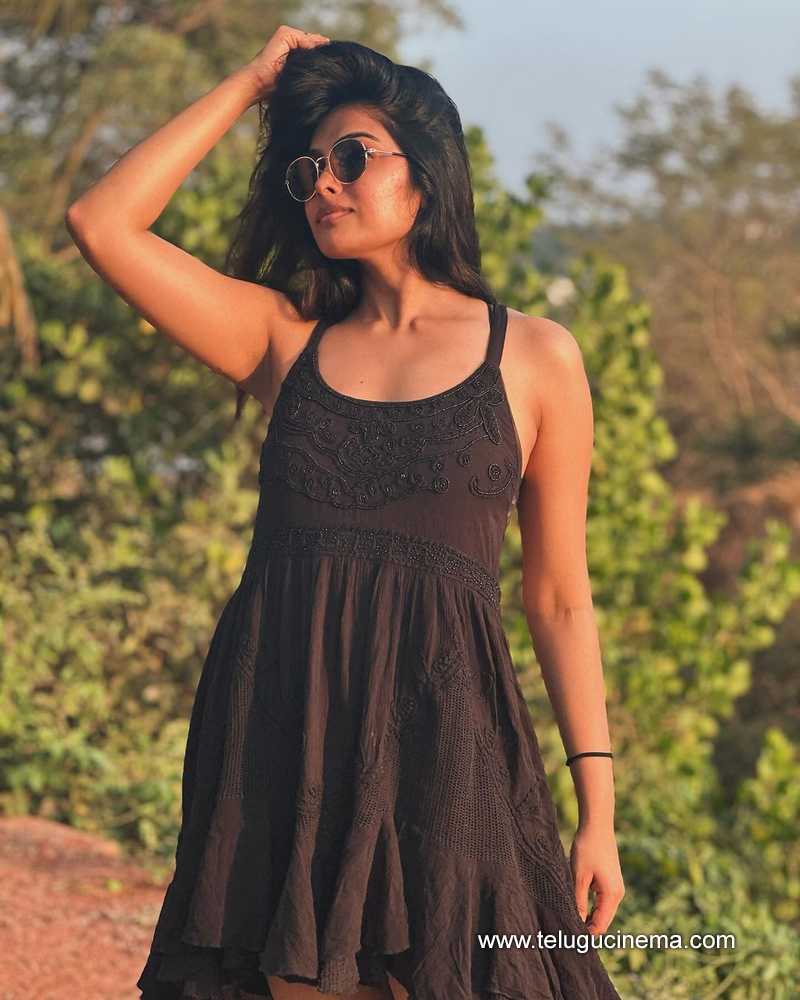 divi stills 10022400000003