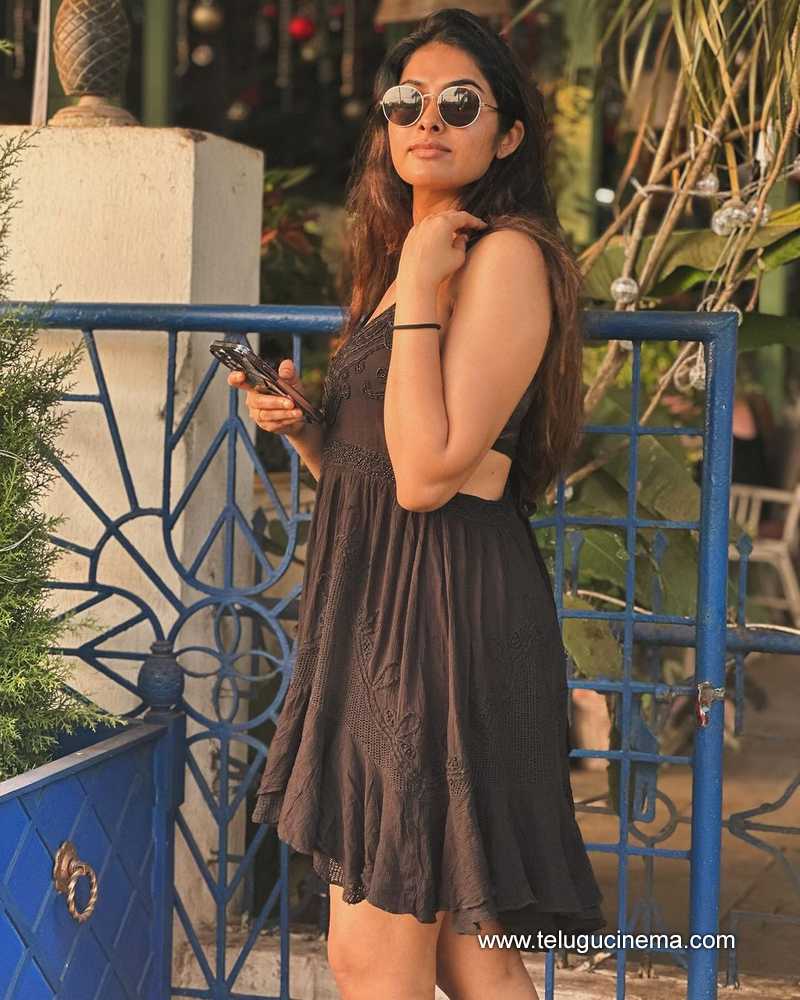 divi stills 10022400000004