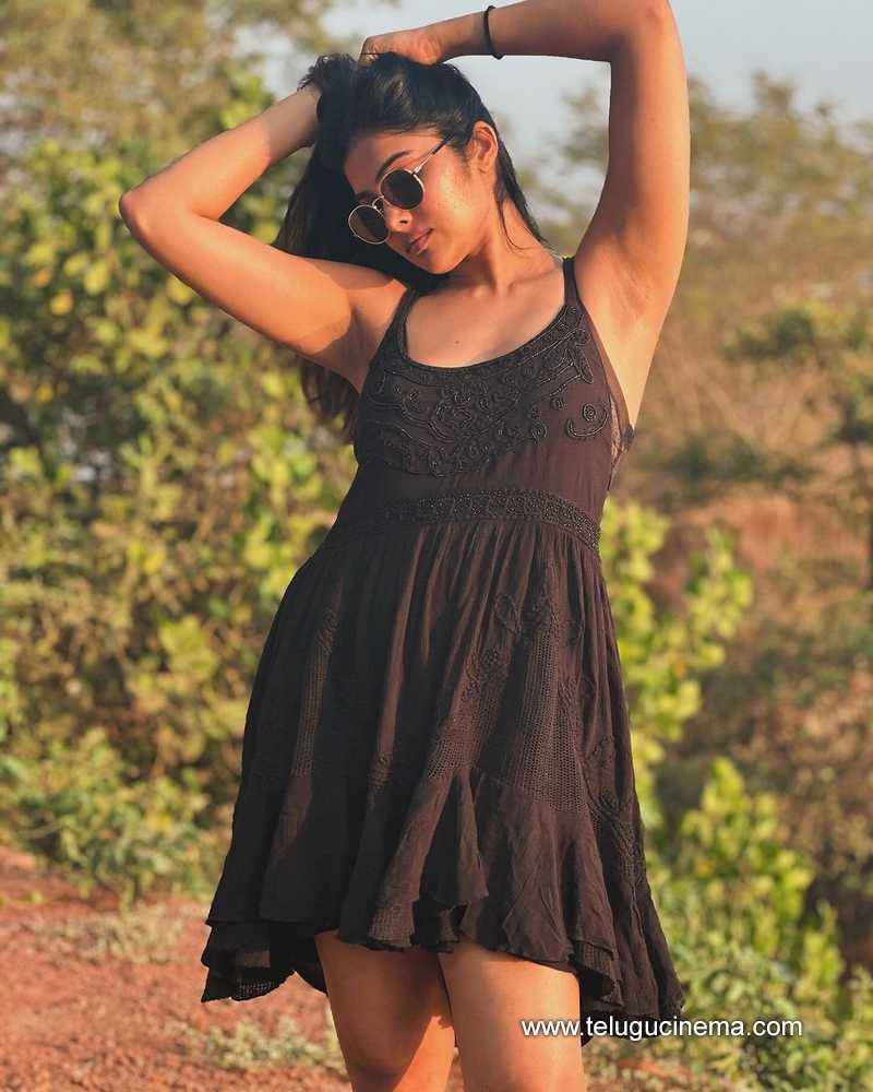 divi stills 10022400000005